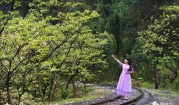 风景哥爆料作品视频,视频中的绝美风光与幕后故事