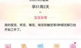 新宝妈妈的邻居爆料视频,惊人视频揭露惊人真相！